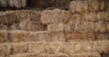 Pacas de paja de arroz