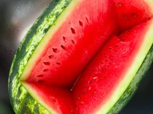 Se vende 140 quintales de sandia